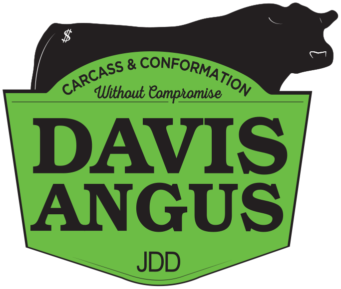 Davis Angus